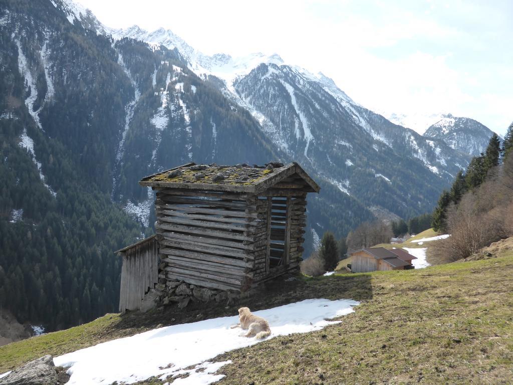 Pension Steinadler Neustift im Stubaital Exteriör bild