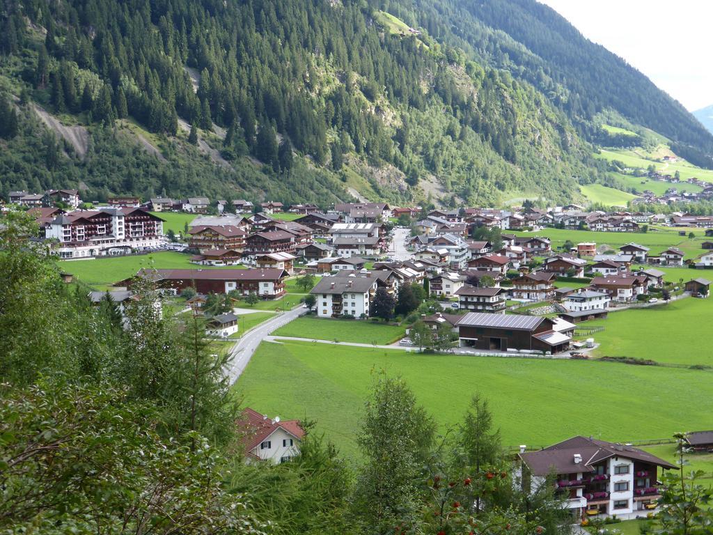 Pension Steinadler Neustift im Stubaital Exteriör bild